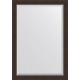 Зеркало Evoform Exclusive BY 1194 71x101 см палисандр